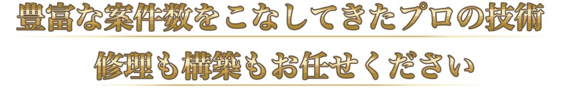 豊富な経験